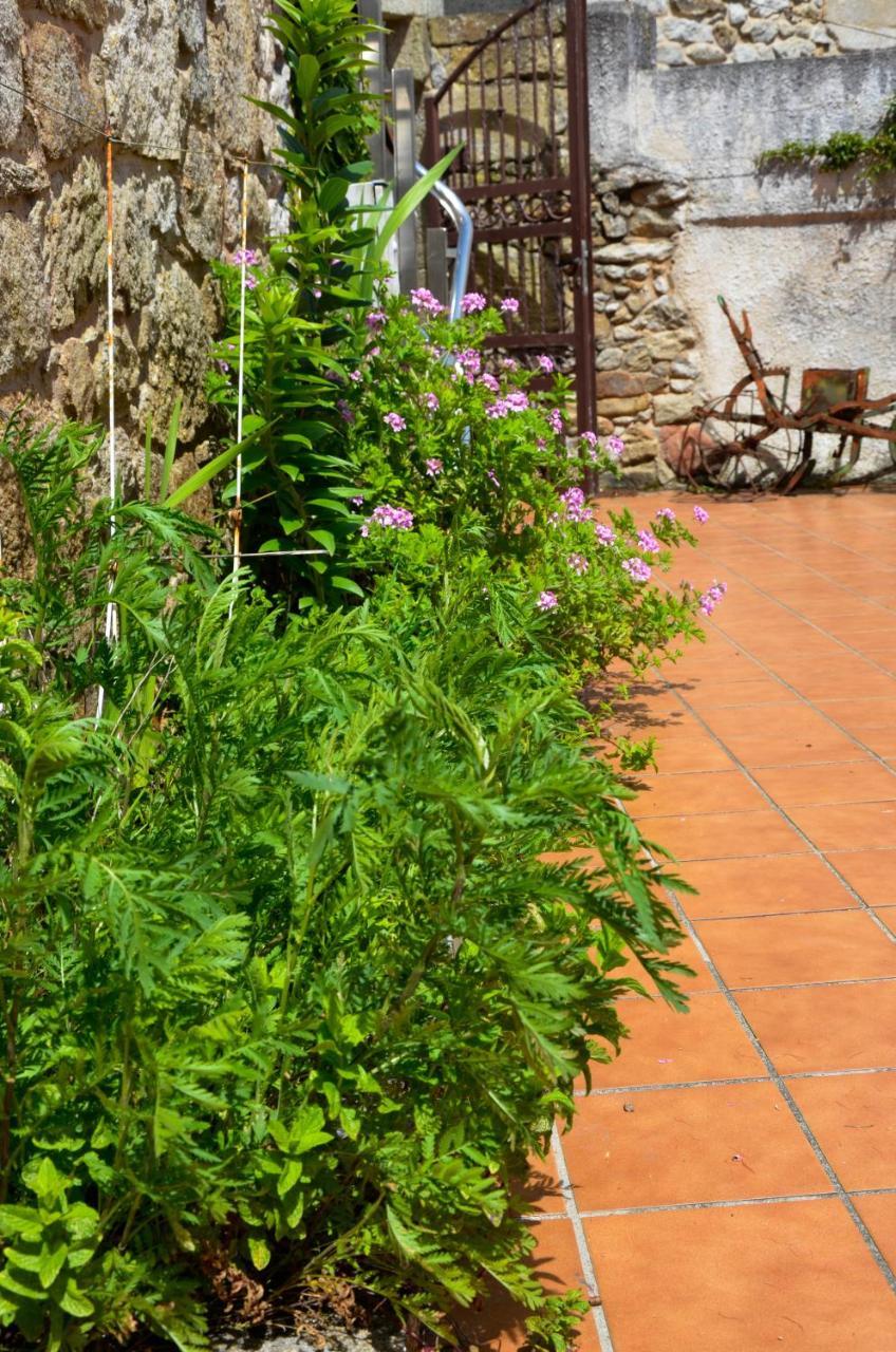 Sursum Corda Hotel Ribeira Exterior photo